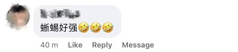 蜥蜴一打七！网友表示：“这是现实版的哥斯拉大战金刚！”