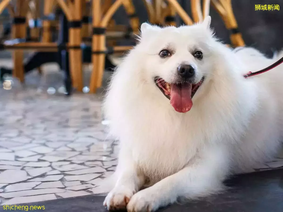 全島第10家分行！PS.Cafe Katong 正式營業🥳 現代摩登風格 +180°全景落地窗 · 難怪是熱門榜top1