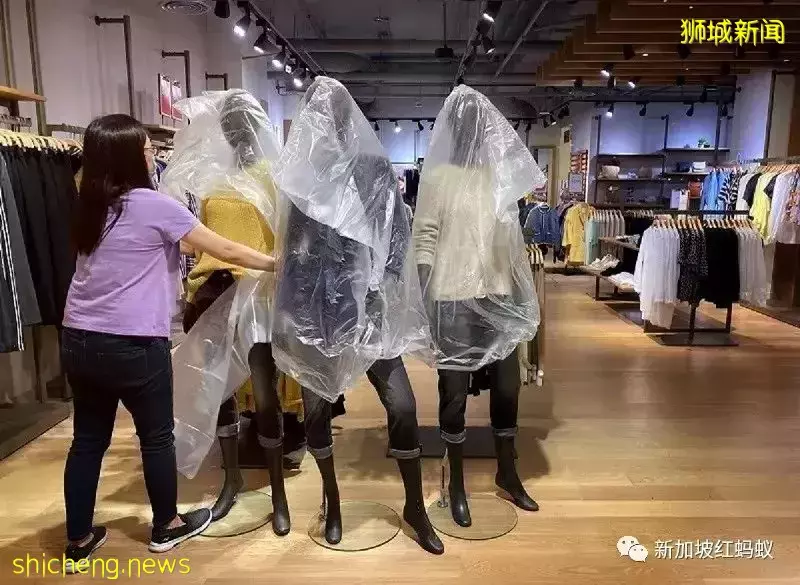 疫情期间有钱无处花 新加坡2020年个人存款总额达1030亿元