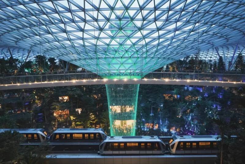 大家注意！一下飞机就被抓，又有人在新加坡机场出事儿了