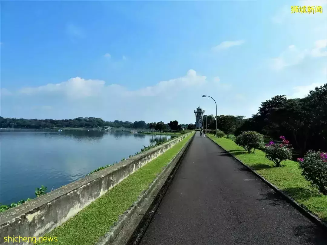 感受一下大自然 在新加坡，有哪一些适合野餐的风景名胜区