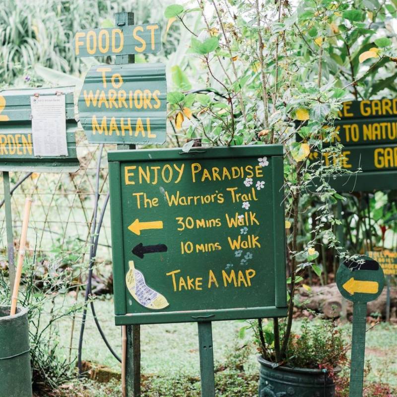 新加坡新大陸！Bollywood Veggies有機農場👩🏻‍🌾 市區外的田園風光 + 治愈寶地