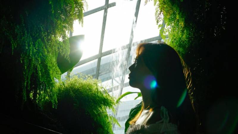 我在新加坡的开场白