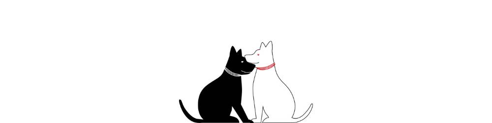 華裔都移民來新加坡