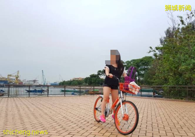 騎行必看！新加坡全島自行車租賃指南，低至$5/天