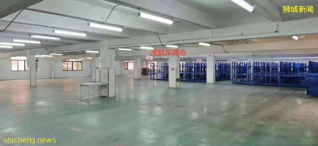 新加坡疫情反弹难回国！这家国际物流公司可免10公斤运费！空运海运一律8折