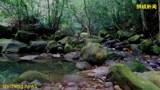 新加坡疫情期间适合户外运动的地方