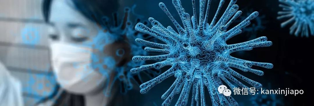 一篇文章说清楚：到底要不要在新加坡戴口罩