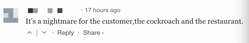 惊!“我在樟宜机场的这个餐厅打包,竟然吃出一只蟑螂!”