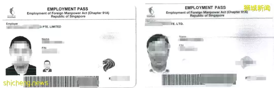 移民新加坡有捷徑？最快20天可火速登陸