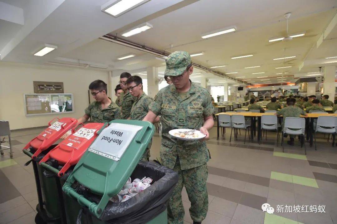 不只保家衛國，新加坡武裝部隊現在連綠色資源也得守護了