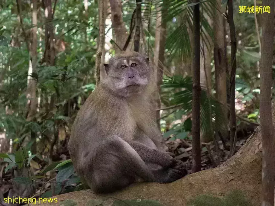 周末不懂要去哪?去新加坡TOP 3自然風光吧