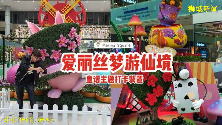 爱丽丝梦游仙境快闪装置📷购物商场化身魔法花园🪄兔子怀表、放大版茶壶，梦回童话故事场景