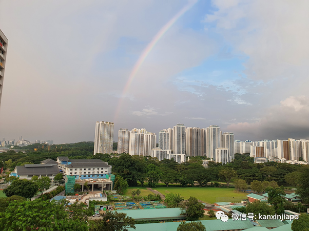 新加坡佳节祥瑞双彩虹！从副总理到外长，全岛都在拍照