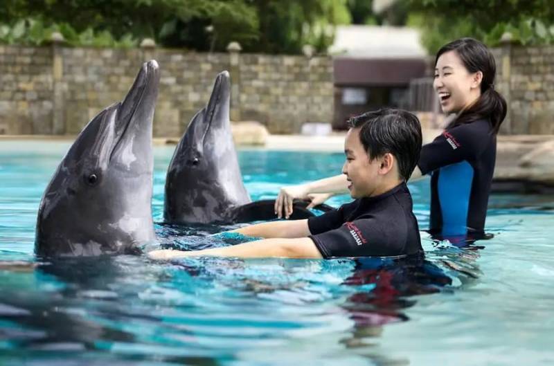 浪起來,新加坡水上運動大盤點