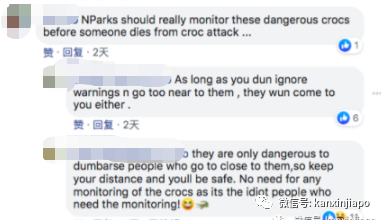 新加坡巨鳄潜伏路旁，孩童懵懂结队相距不足2米围观