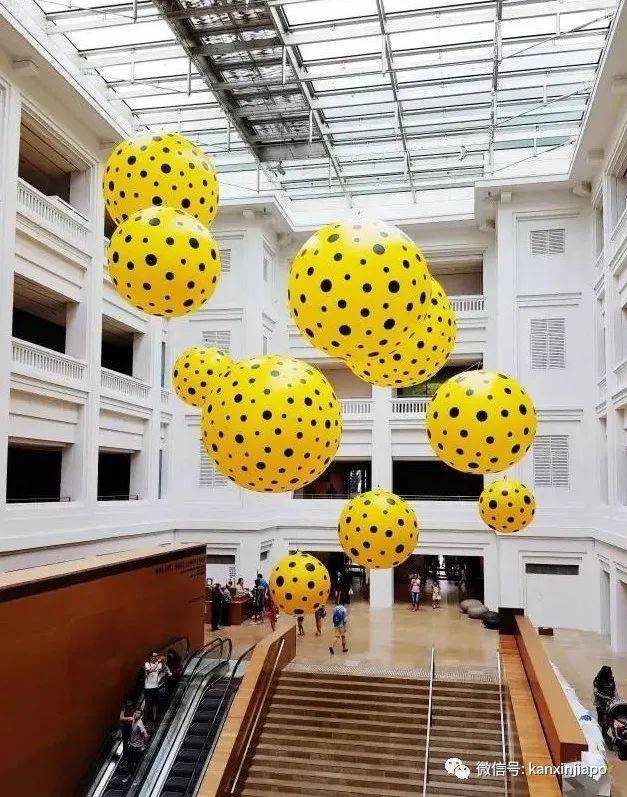 草间弥生又在新加坡举办个展了,入场免费