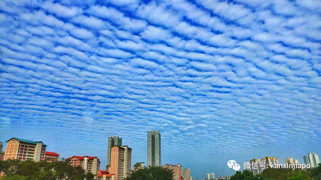 “地震雲”昨早刷爆朋友圈！很少看過這麽“怪異”的朝陽