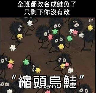 台湾人疯狂改名引发“鲑鱼之乱”！新加坡人改名又是图什么