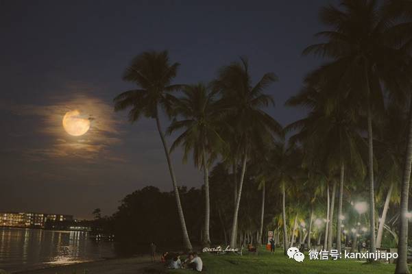 多图！新加坡的海上升明月如梦如幻