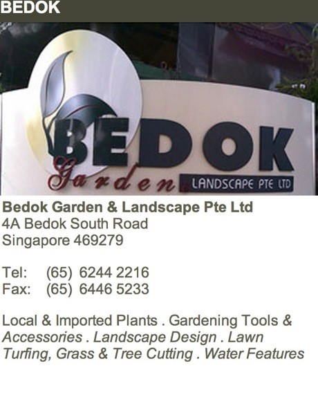 Screen Shot 2014-07-02 at 12.12.01 am