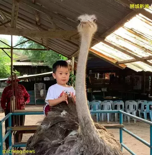 玩在狮城 新加坡海事局已批准往返渡轮服务! Johor首选度假胜地Desaru一日游攻略