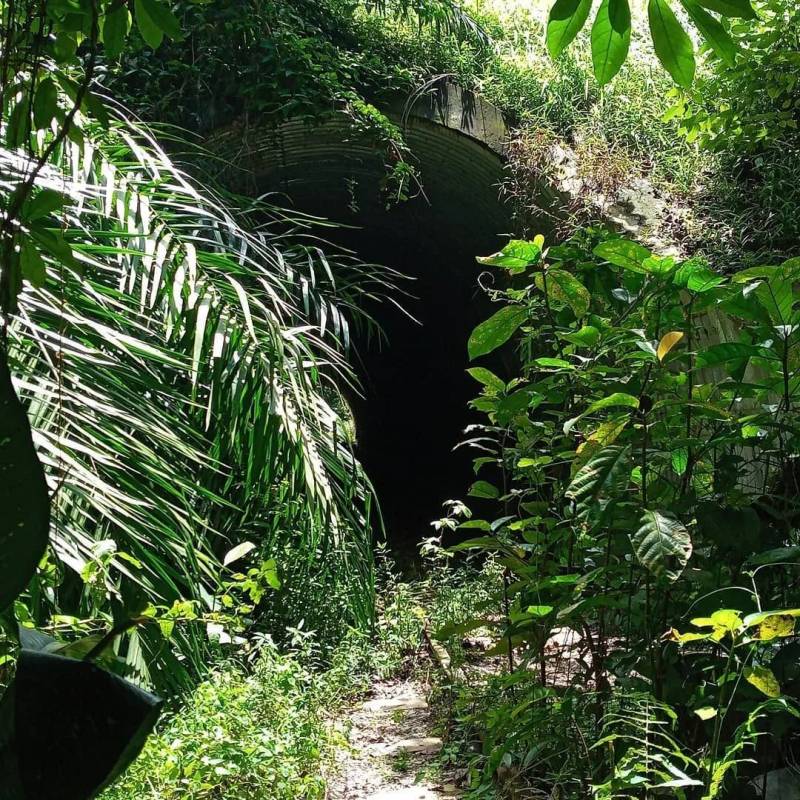 廢棄鐵路、徒步探險、網紅打卡地! 新加坡又一隱秘的角落