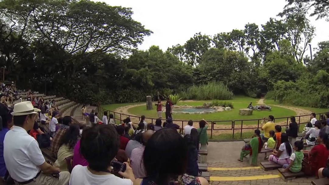 免費送票!帶倆娃嗨翻亞洲最大飛禽園,400多種5000多只鳥,一路驚喜不斷