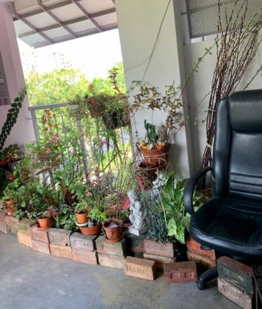 停产红砖被弃路边 护士捡回家中当装饰