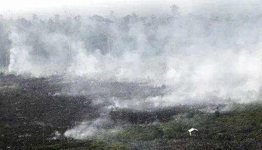 昨早,新加坡全島各處有一股怪味!難道印尼開始燒芭了