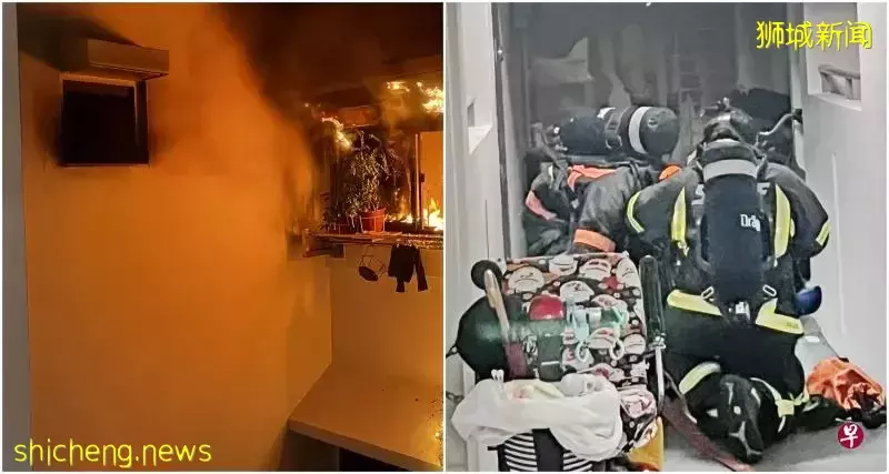 “一个疏忽,我7岁女儿在新加坡差点被烧死...”