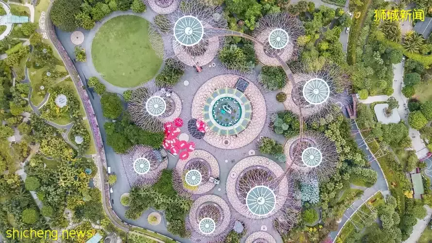 干货:在新加坡申请工作或创办公司,需要具备哪些准证