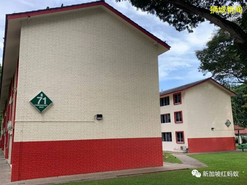 重新发现新加坡 东陵福有你未曾注意过的精彩