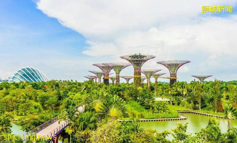 爲什麽女生出國留學，我更推薦你選新加坡