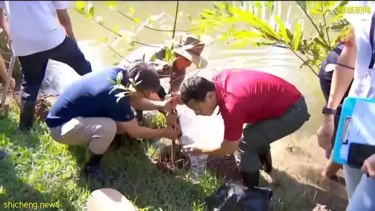 师生在翠鸟湿地实习 推广可持续发展概念