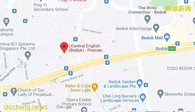 新移民家長:我的英文水平,還沒新加坡小學一年級孩子好