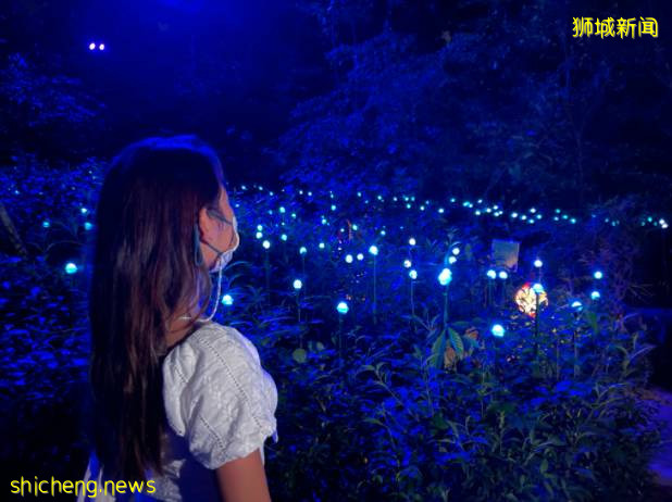 7月底有望8人聚會！新加坡這些好玩的地方已經悄悄開啦