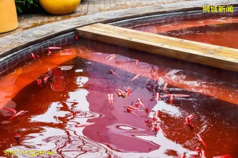 脑洞好大!把重庆火锅做成温泉?新加坡网友:“好奇葩……”