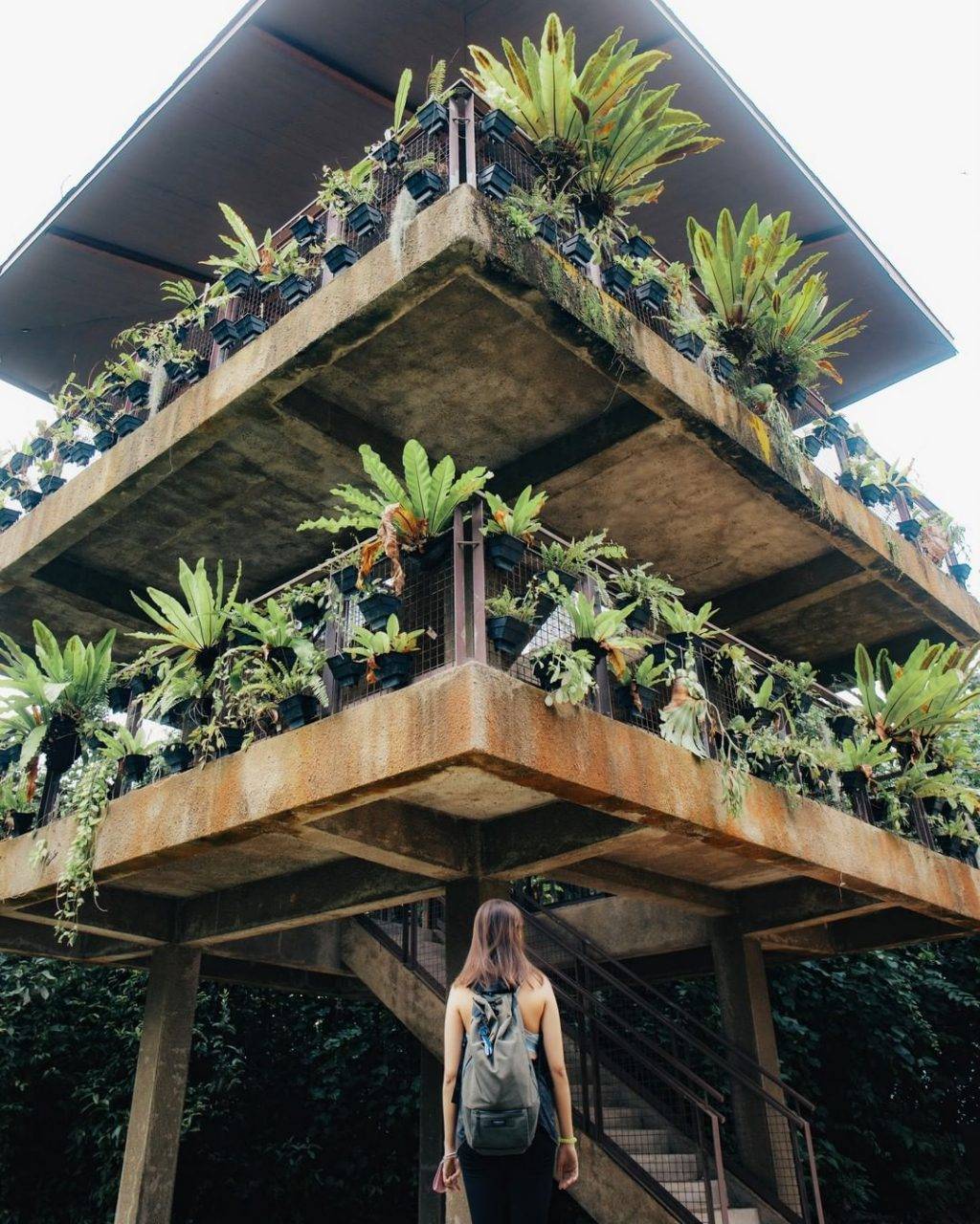 新開辟徒步路線！聖淘沙後花園“Imbiah Trail”沿路亮點🍃 回歸自然，尋覓古迹