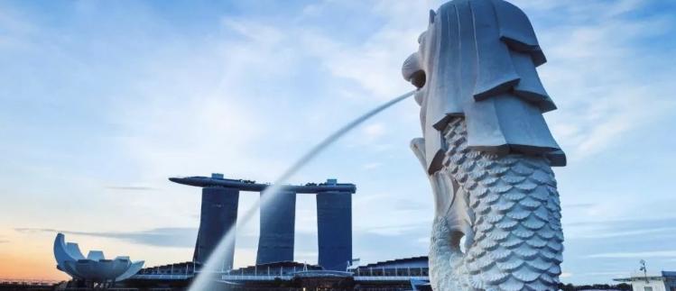 新加坡保险的优势是什么