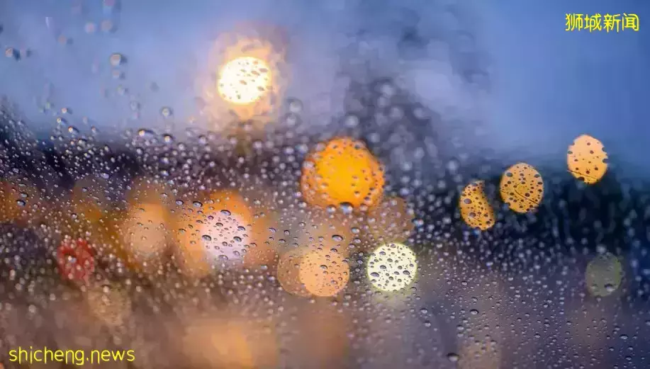 自1980年来最多的一年！新加坡的大雨有点多