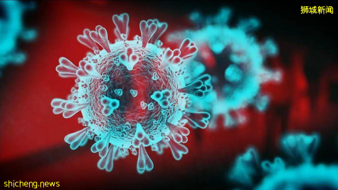 欧盟宣布承认新加坡冠病疫苗证书; 超强变种病毒B.1.1.529登陆亚洲,威力强过德尔塔