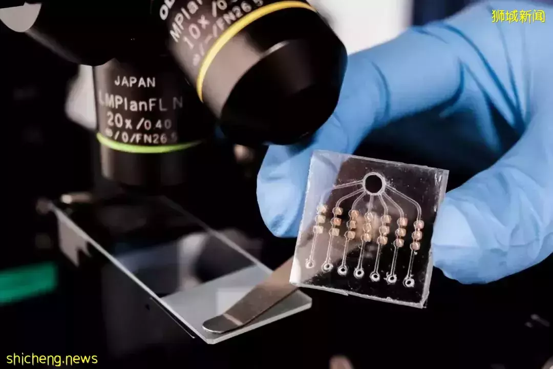 加入 NUS “校长青年教授”计划,成为超酷的学者