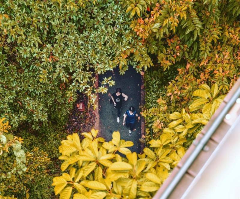 Southern Ridges 南部山脊,新加坡自然景觀帶!穿梭4座園區、多樣化徒步線路🌳 沿路景點大合集