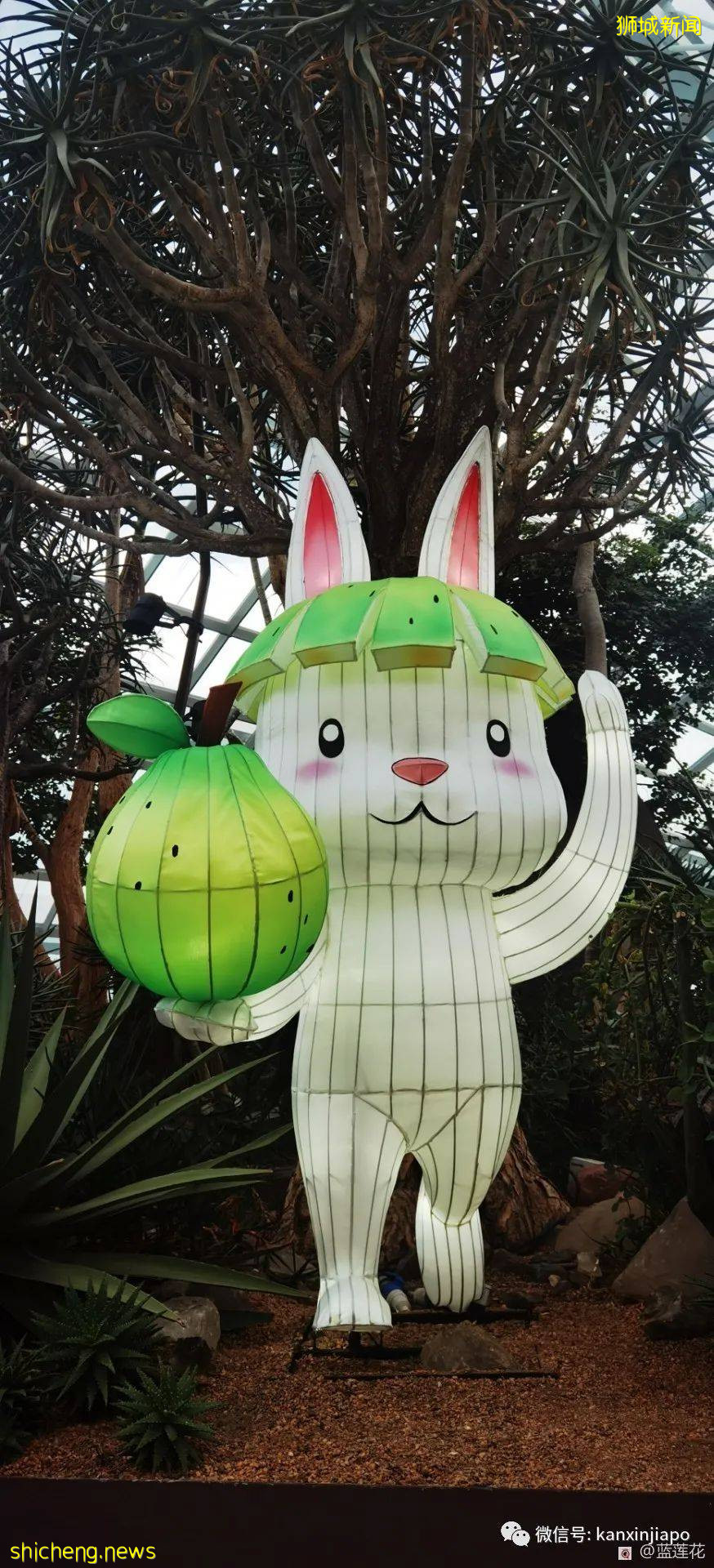 新加坡親子好去處！濱海灣～花穹～雲霧森林～空中步道半日遊