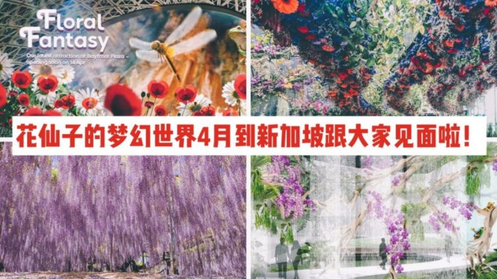 花仙子的梦幻世界！唯美花琼、梦幻紫藤花瀑布，还有4D电影带你飞跃滨海湾花园！