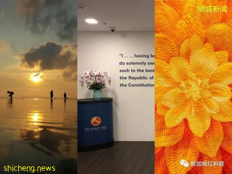 社交媒體化身爲主戰場　各黨准候選人紛紛爲面簿更換門面