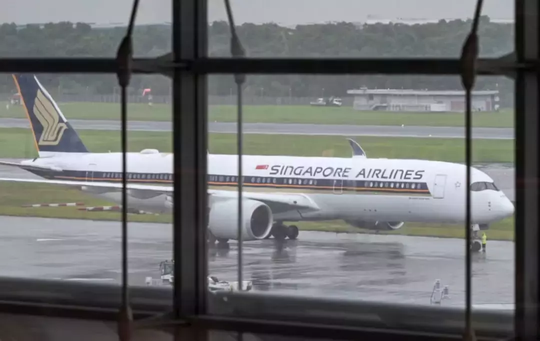 新加坡將開每日直飛北京航班！部長曬中國餃子！2月回國機票搶手，最低僅600多新