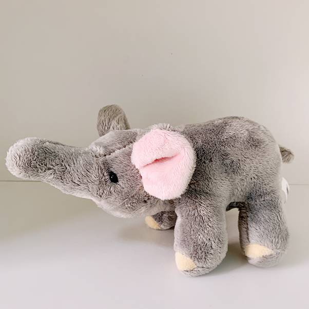 新加坡夜間野生動物園，現在可以搭帳篷吃晚餐了