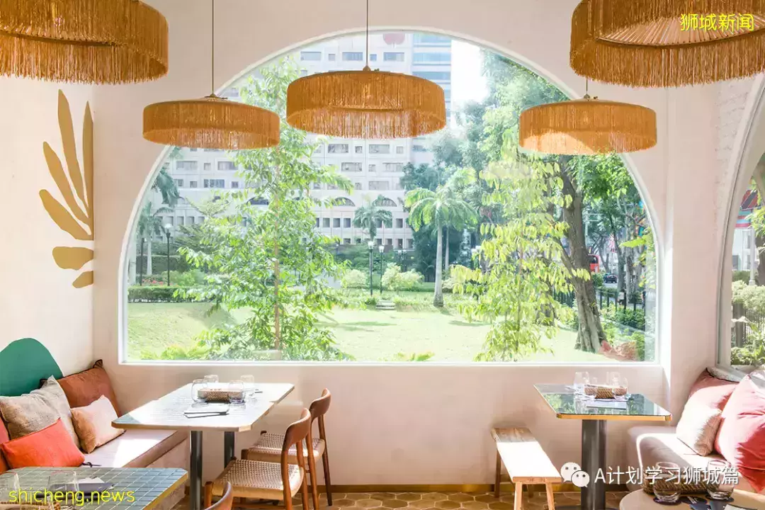 新增355起,新加坡再有三個感染奧密克戎變種毒株;意大利禁新加坡遊客入境